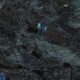 Granit Lemurian Blue - ganze Platte